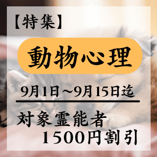 特集ページ【動物心理】
