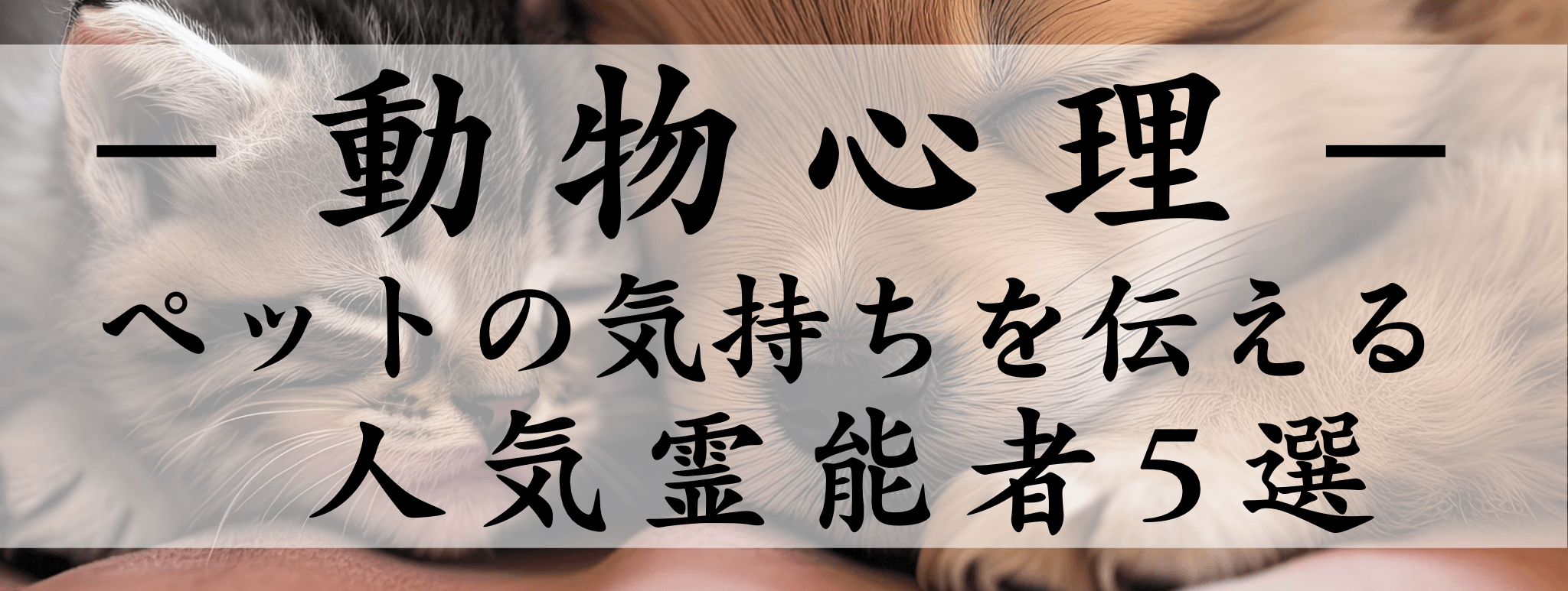 【動物心理】特集：霊場天扉