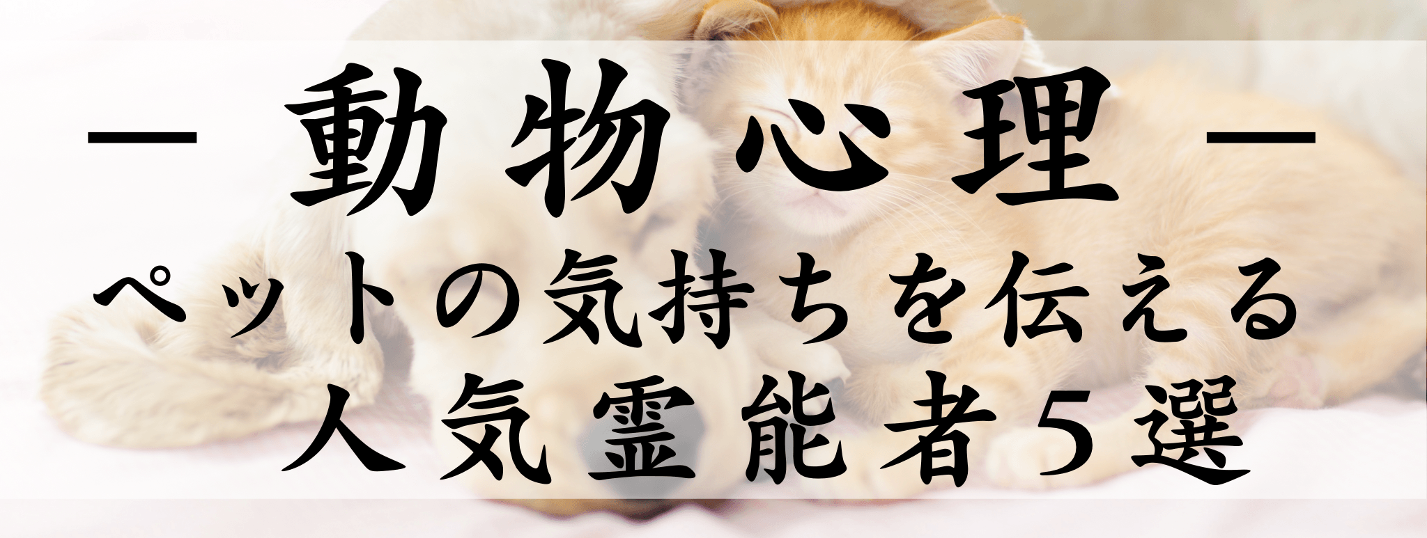 天扉特集【動物心理】対象霊能者1,500円割引